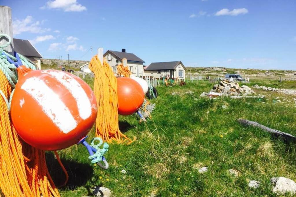 Arctic House By The Sea, Vadso, Varanger Экстерьер фото